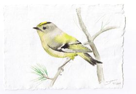 Vogel 1 001.jpg