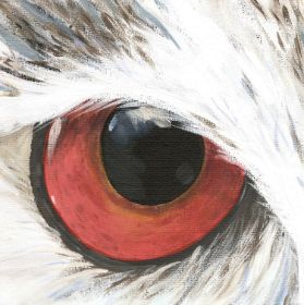 oog uil acryl 20 x 20 maart 2012 adjusted.jpg