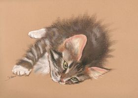 kitten pastel 2011 - zazu.jpg